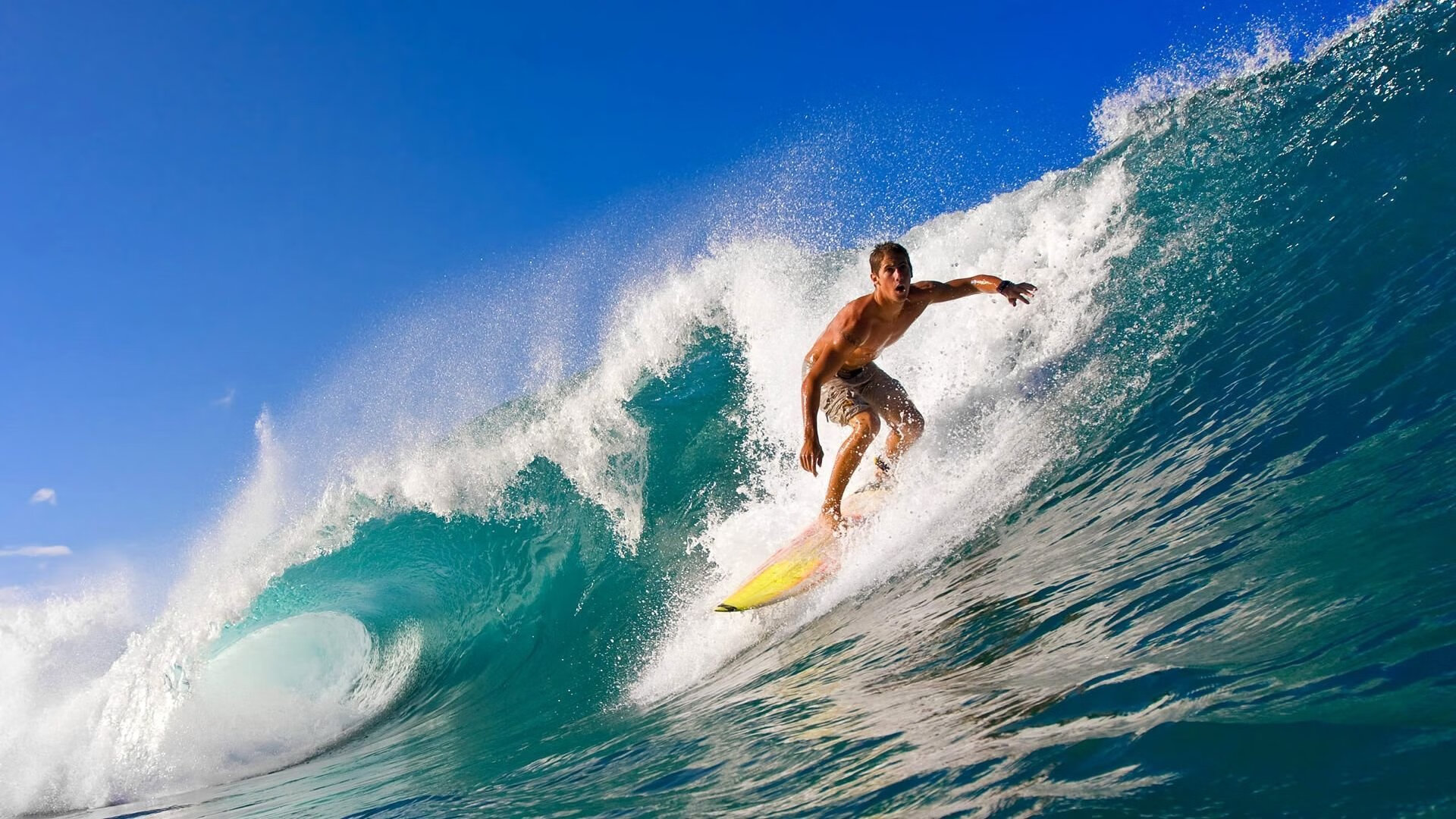 《最受期待的战队转会：重磅签约引发热议》，2022战队